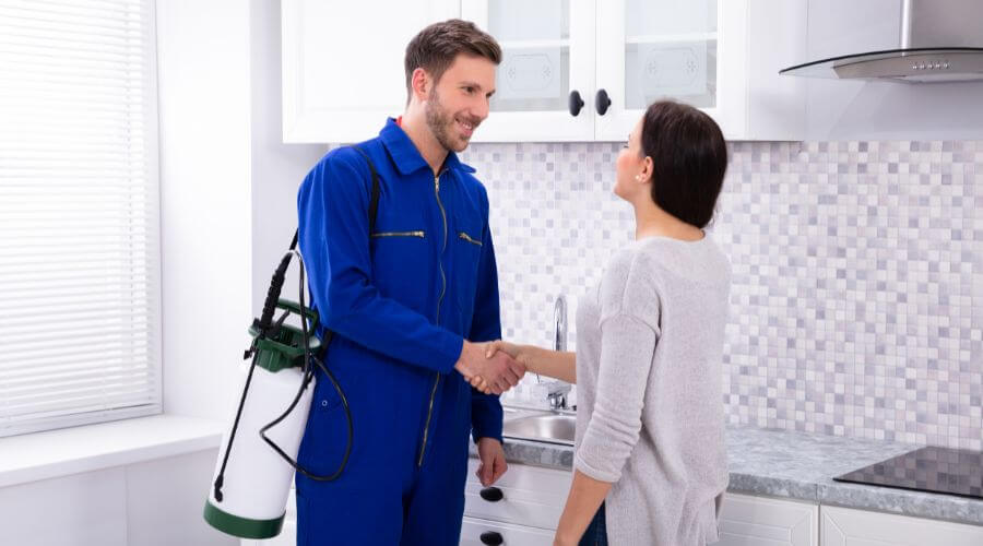 Why choose Affordable Exterminator Wilmington DE for pest control services in Wilmington